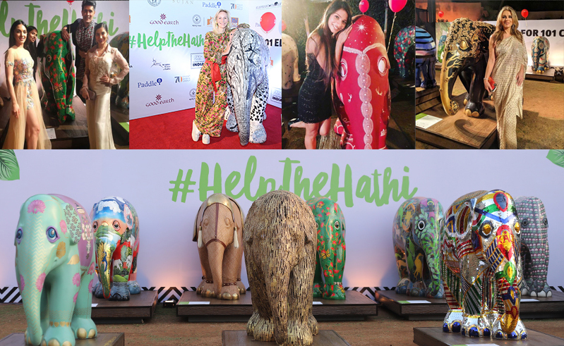 Elephant Parade India Finale